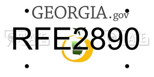 RFE2890 Georgia License Plate
