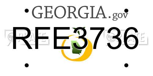 RFE3736 Georgia License Plate