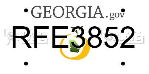 RFE3852 Georgia License Plate