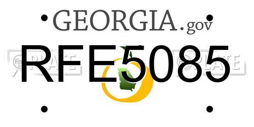 RFE5085 Georgia License Plate