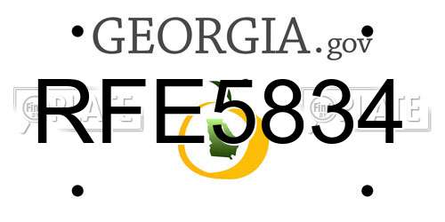 RFE5834 Georgia License Plate