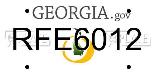 RFE6012 Georgia License Plate