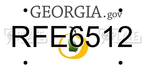 RFE6512 Georgia License Plate