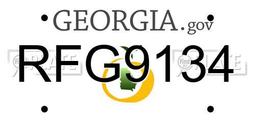 RFG9134 Georgia License Plate