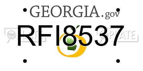 RFI8537 Georgia License Plate
