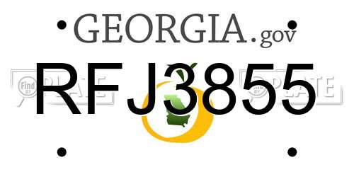 RFJ3855 Georgia License Plate