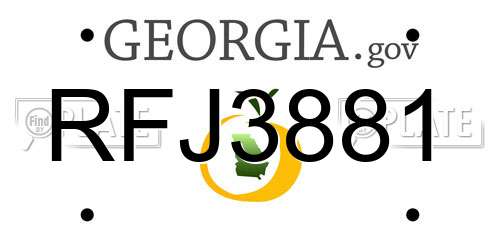 RFJ3881 Georgia License Plate
