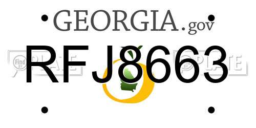 RFJ8663 Georgia License Plate