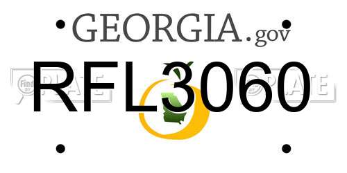RFL3060 Georgia License Plate