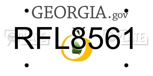 RFL8561 Georgia License Plate