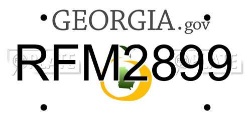 RFM2899 Georgia License Plate