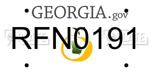 RFN0191 Georgia License Plate