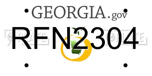 RFN2304 Georgia License Plate