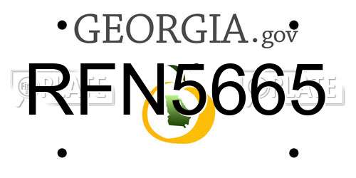 RFN5665 Georgia License Plate