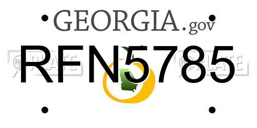 RFN5785 Georgia License Plate