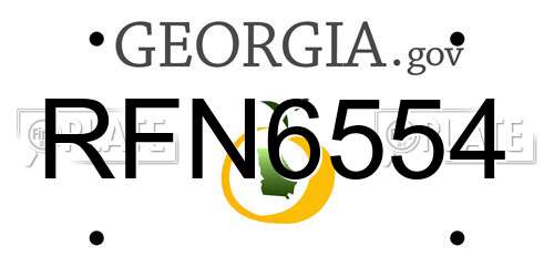 RFN6554 Georgia License Plate
