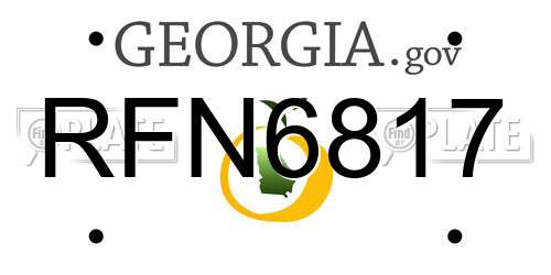 RFN6817 Georgia License Plate