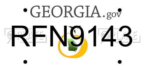RFN9143 Georgia License Plate