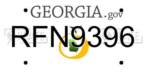RFN9396 Georgia License Plate