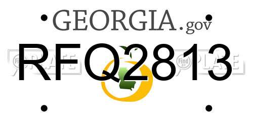 RFQ2813 Georgia License Plate