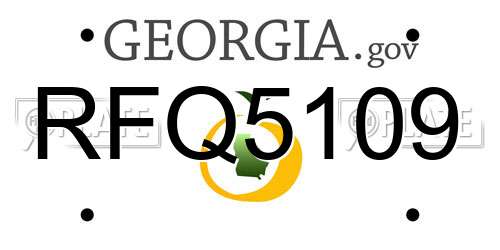 RFQ5109 Georgia License Plate