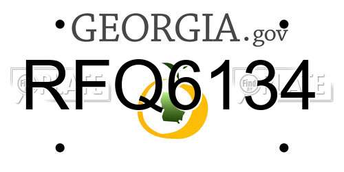RFQ6134 Georgia License Plate
