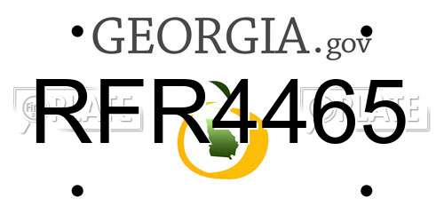 RFR4465 Georgia License Plate
