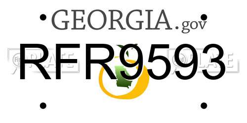 RFR9593 Georgia License Plate
