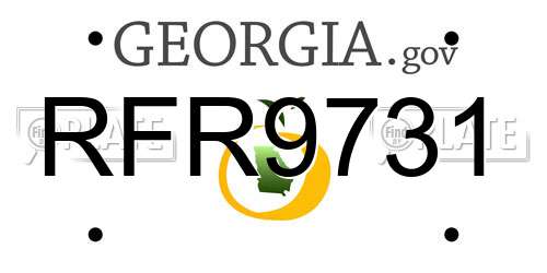 RFR9731 Georgia License Plate