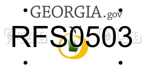 RFS0503 Georgia License Plate
