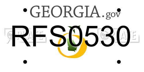 RFS0530 Georgia License Plate