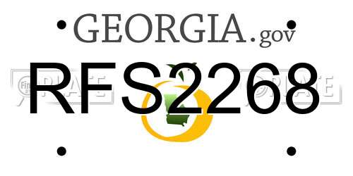 RFS2268 Georgia License Plate