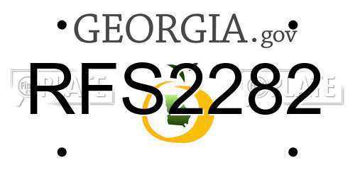 RFS2282 Georgia License Plate