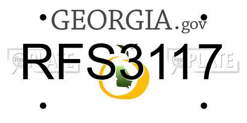 RFS3117 Georgia License Plate