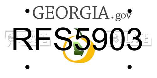 RFS5903 Georgia License Plate