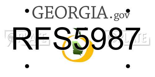 RFS5987 Georgia License Plate