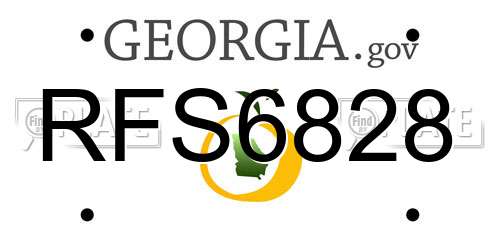 RFS6828 Georgia License Plate
