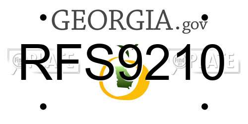 RFS9210 Georgia License Plate