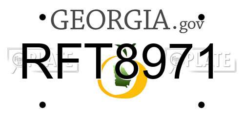 RFT8971 Georgia License Plate