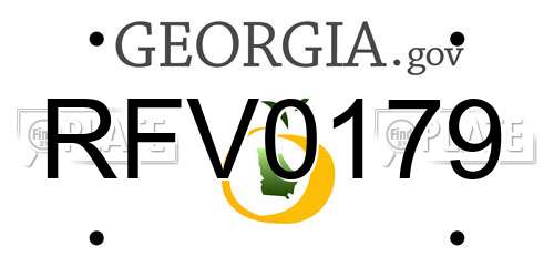 RFV0179 Georgia License Plate