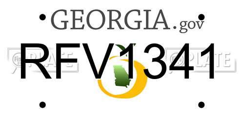 RFV1341 Georgia License Plate