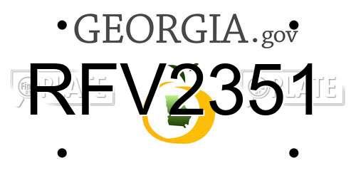 RFV2351 Georgia License Plate