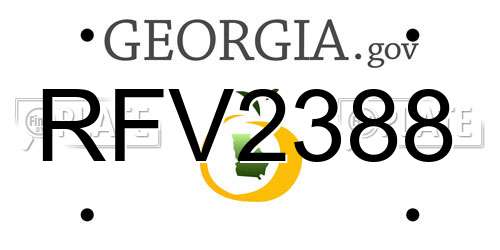 RFV2388 Georgia License Plate