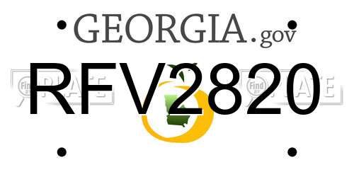 RFV2820 Georgia License Plate