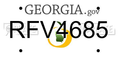 RFV4685 Georgia License Plate
