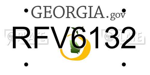 RFV6132 Georgia License Plate