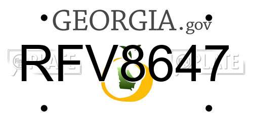 RFV8647 Georgia License Plate
