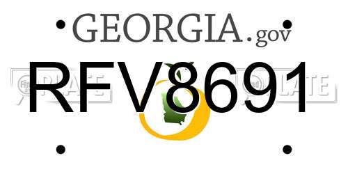 RFV8691 Georgia License Plate