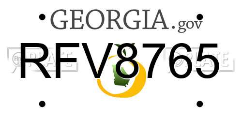 RFV8765 Georgia License Plate