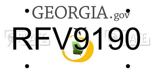 RFV9190 Georgia License Plate